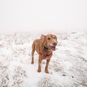 Meet your Posher, Melanie